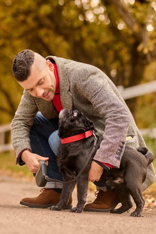 Bold Dog – Nauczę Cię jak rozumieć Twojego psa